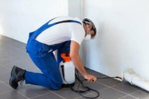Seek help from an organic pest control expert who specializes in ants.