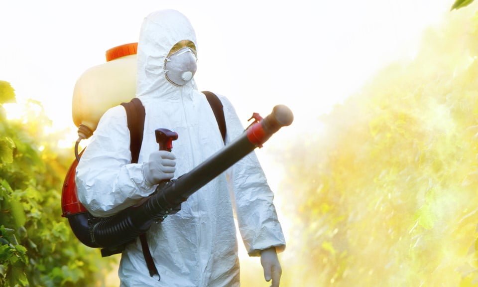Organic IPM: Foliar Sprays for Cannabis Pests