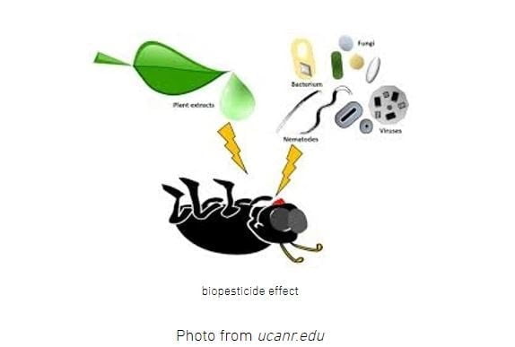 Biopesticides May Be The Answer!