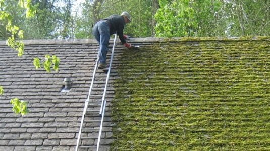 how to remove moss from roof