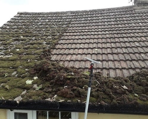 roof moss removal tool