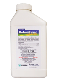 botanigard maxx