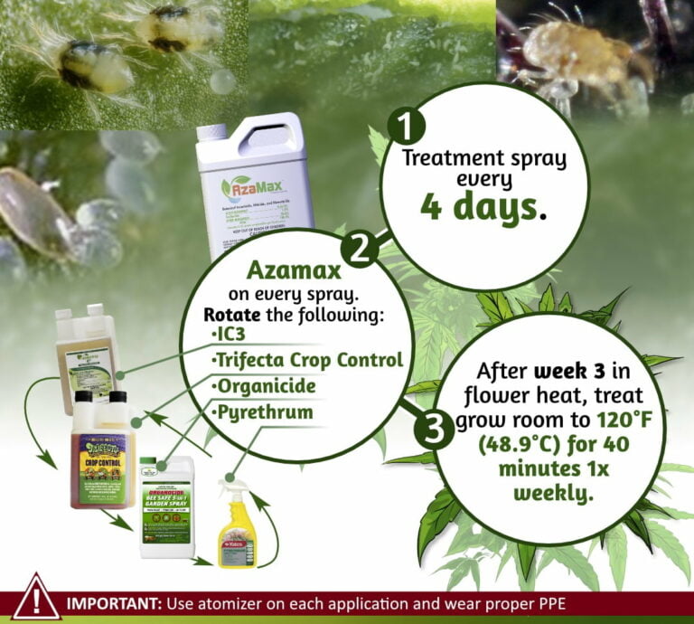 organic spray treatment for broad mites