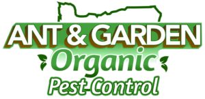 ant garden organic pest control