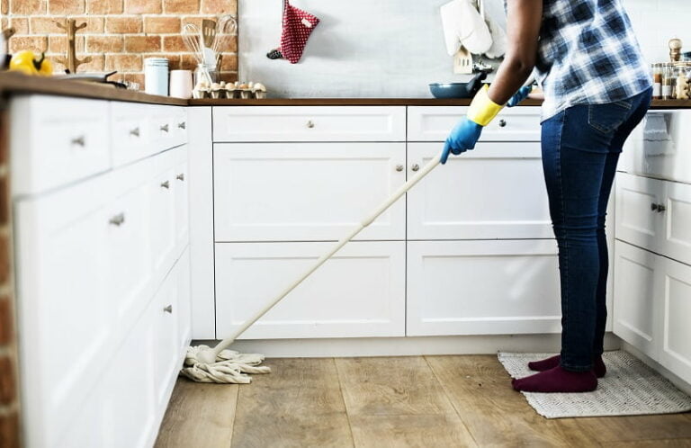 get rid of house ants