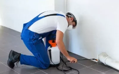All-Natural & Organic Pest Exterminator