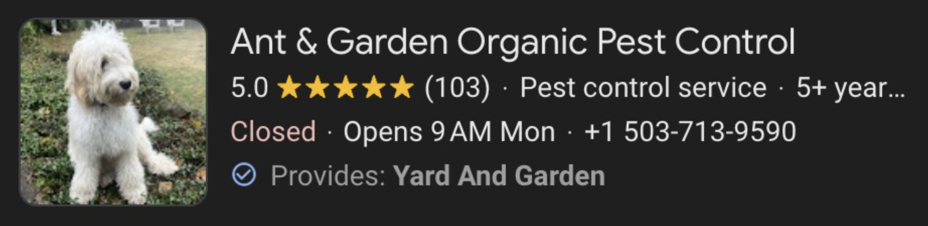 google_review