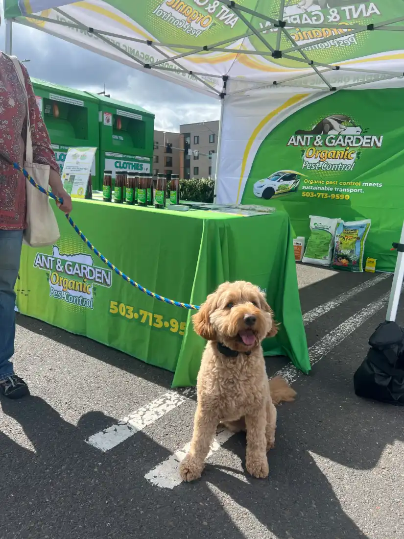 ant and garden organic pest control