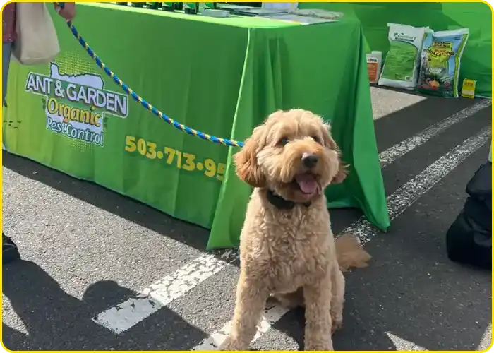 Ant and Garden Organic Pest Control