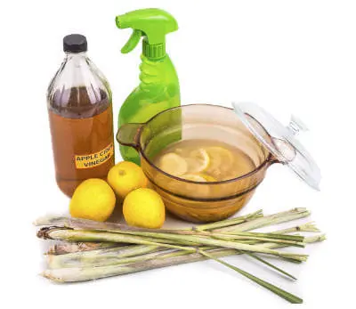 natural organic pest control