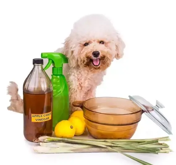 natural pet safe pest control